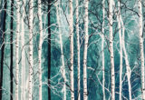 Variation 1 de Forêts / 40x40 cm / 2019 / Acryl Collage Ink