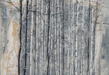 Variation 3 de Forêts / 40x40 cm / 2019 / Acrylique Collage Encre